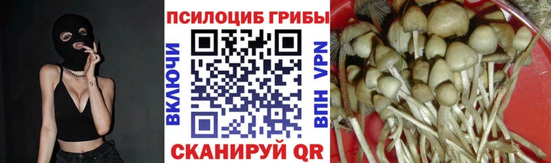 Псилоцибиновые грибы прущие грибы  Малгобек 
